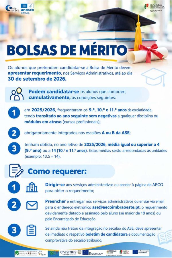 BOLSADEMERITO